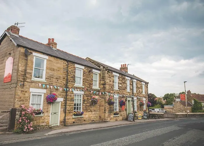 The Oakwheel